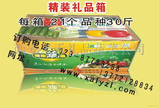 春節(jié)禮品菜選購(gòu)指南 價(jià)格解析、品牌廠家推薦與日用百貨銷(xiāo)售渠道